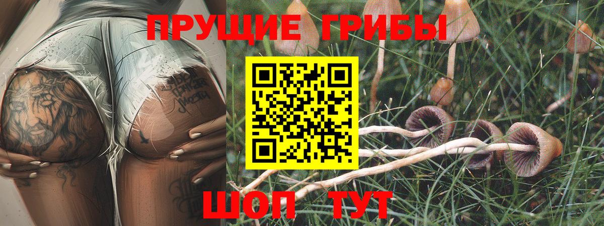 Галлюциногенные грибы Psilocybine cubensis  Вход с VPN  Усть-Илимск 