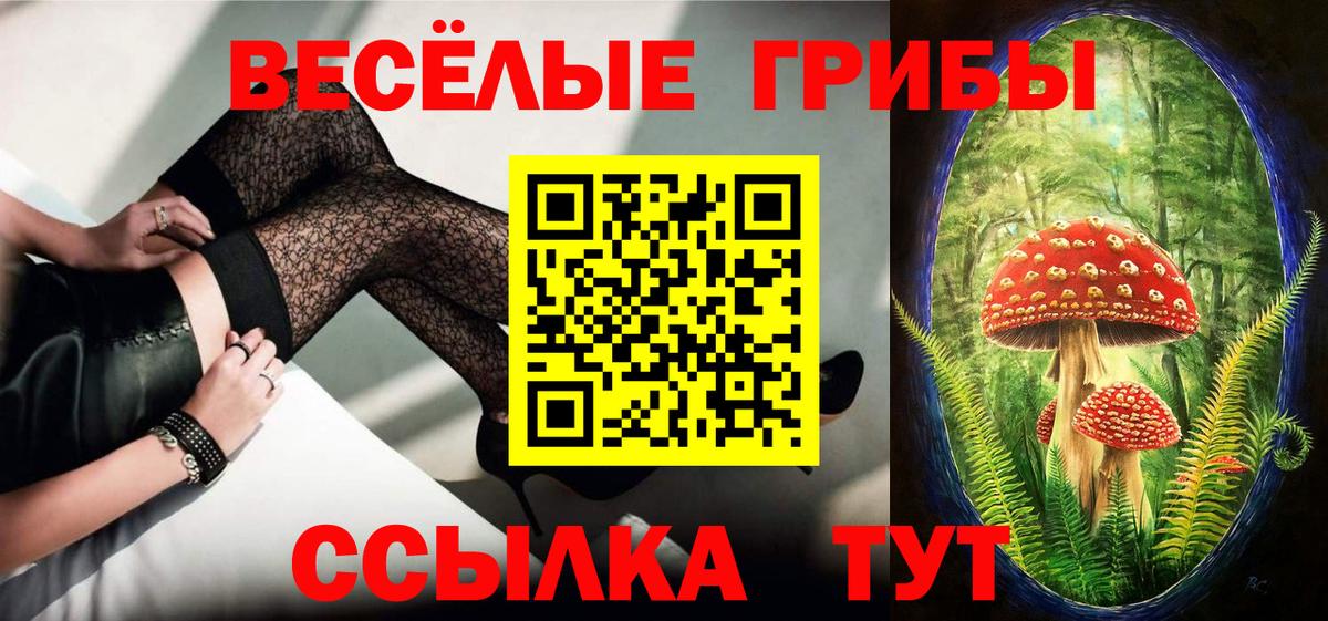 Псилоцибиновые грибы GOLDEN TEACHER Усть-Илимск